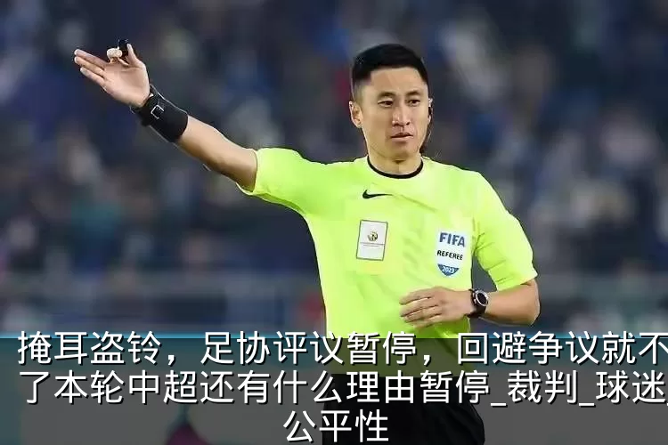 掩耳盗铃,足协评议暂停,回避争议就不存在了本轮中超还有什么理由暂停_裁判_球迷_公平性